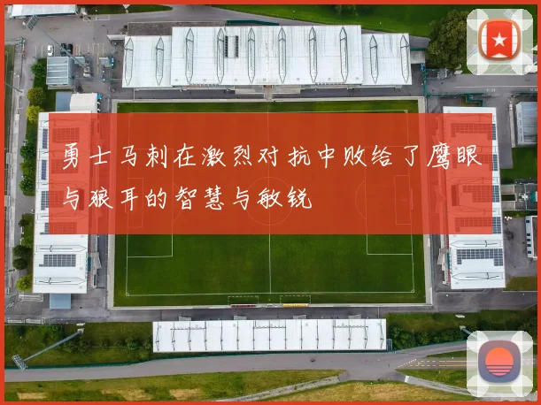 勇士马刺在激烈对抗中败给了鹰眼与狼耳的智慧与敏锐