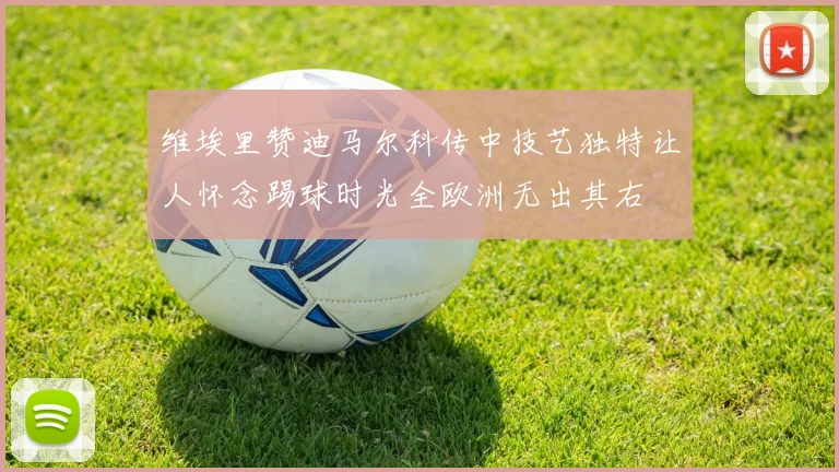 维埃里赞迪马尔科传中技艺独特让人怀念踢球时光全欧洲无出其右